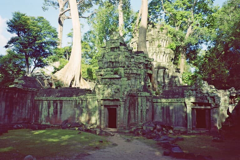Big Circuit temples: Ta Prohm at Angkor Archeological Park