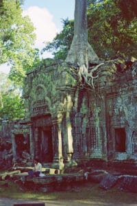 jungle temple Ta Prohm
