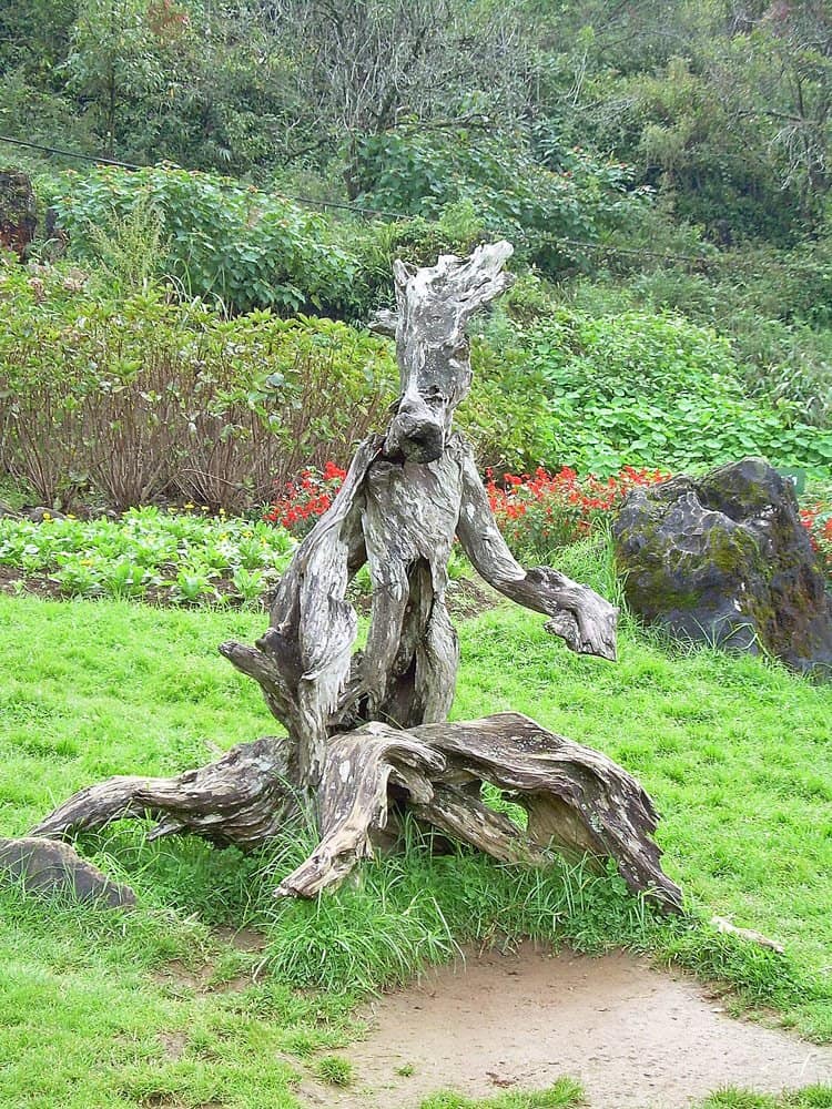 natural wooden sculpture in national park in Sapa