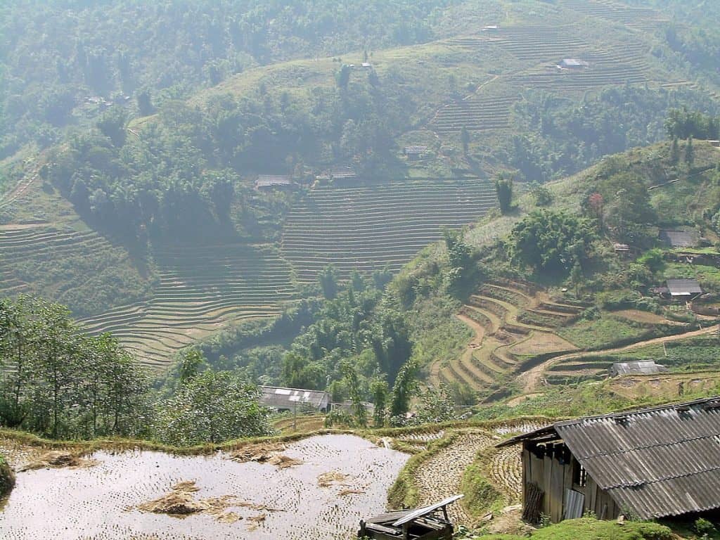 ethnic hill tribes of Sapa: rice terraces view from Cat Cat village