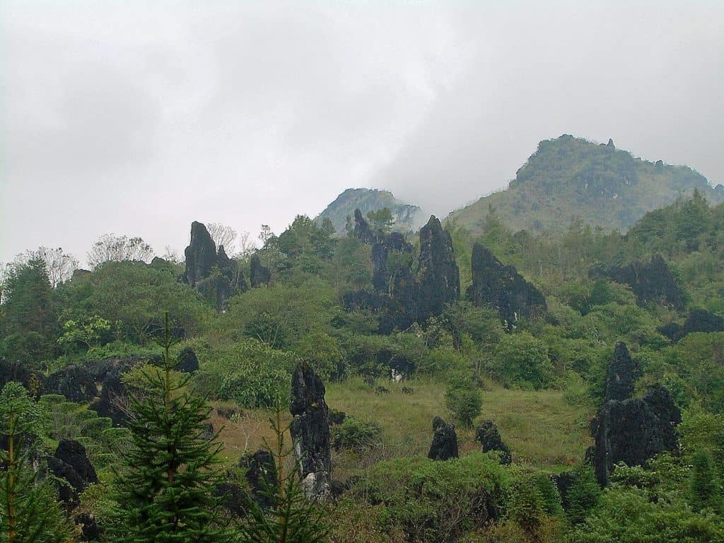 view of Fan Si Pan mountain from Hoang Lien National Park