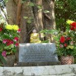 Old Quarter of Hanoi: Buddha in front of Bodhi tree