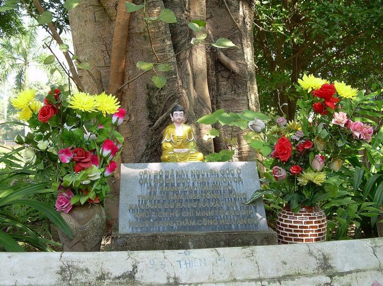 Old Quarter of Hanoi: Buddha in front of Bodhi tree