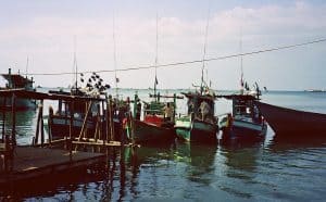fishing boats