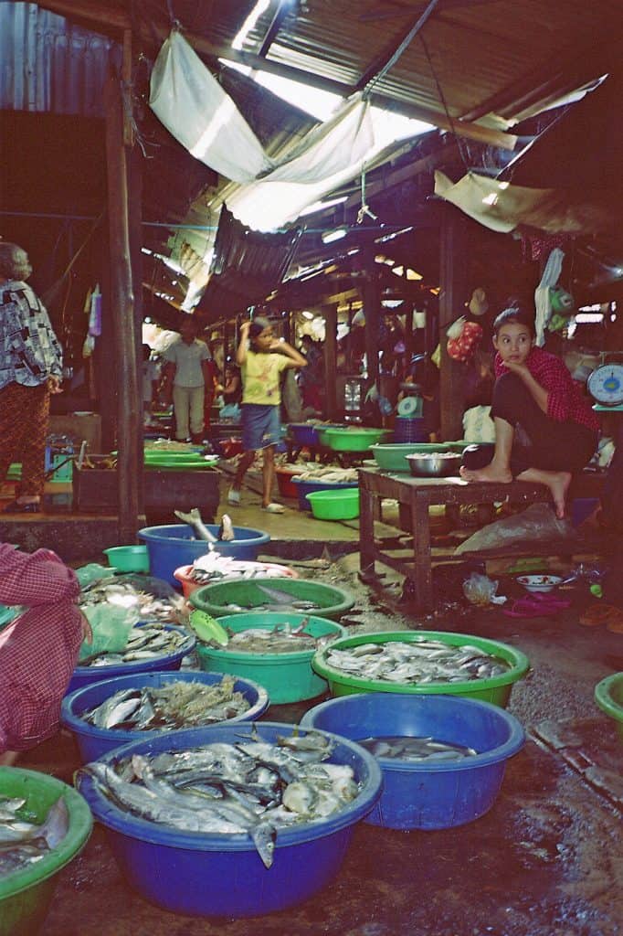 fresh fish at Sihanoukville central market