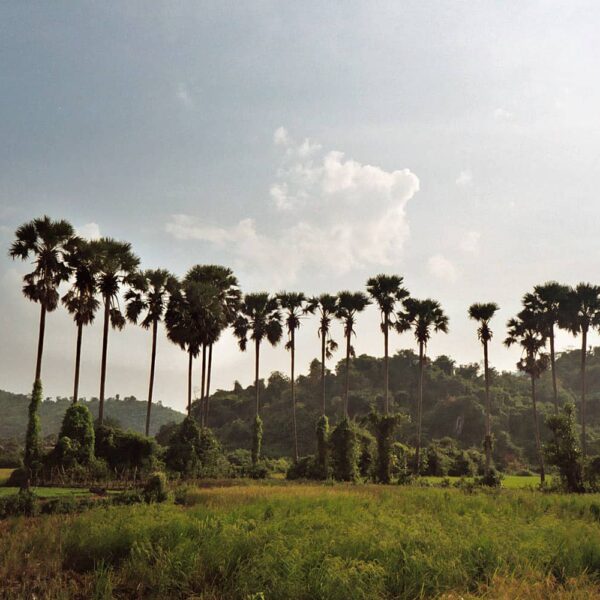 countryside near Phnom Chnok