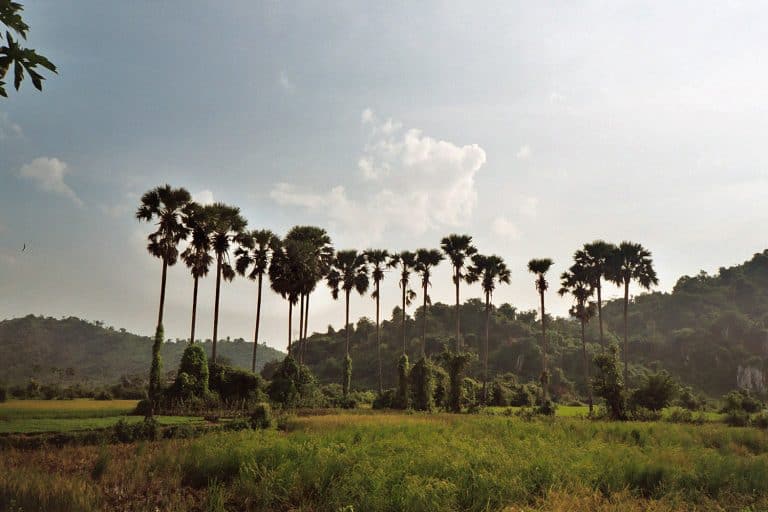 countryside near Phnom Chnok