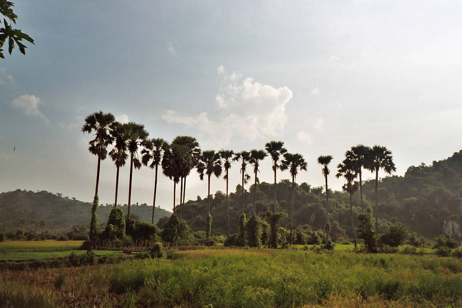 countryside near Phnom Chnok
