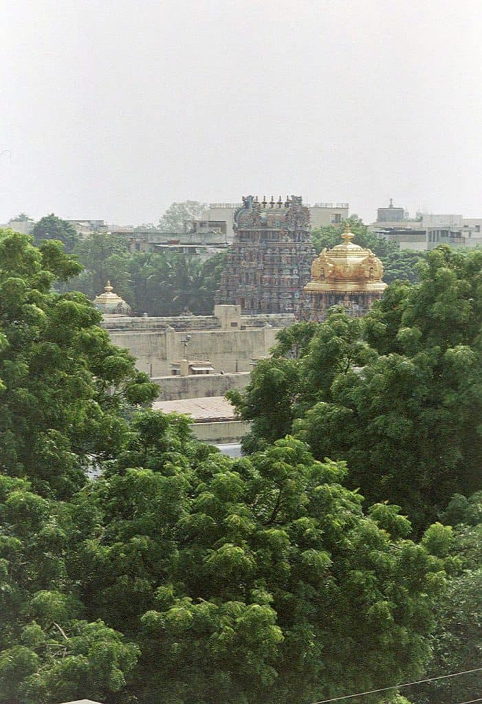 another Meenakshi temple rooftop view