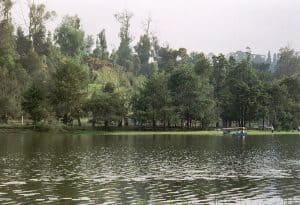 come to rest at Kodaikanal lake